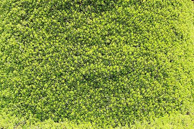 国内技术大佬单人打造虚幻5版《怪物猎人：崛起》